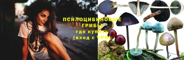 винт Арсеньев