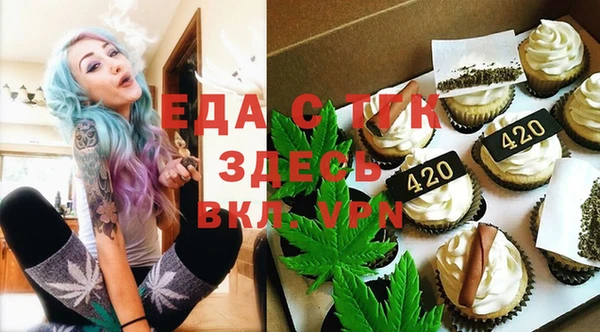 индика Аркадак