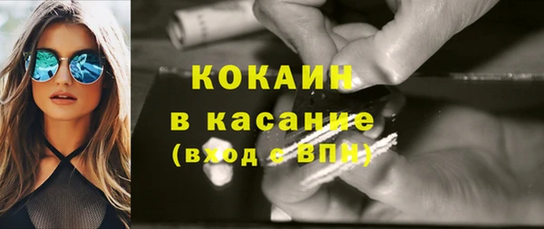 индика Аркадак