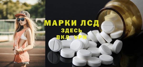 индика Аркадак