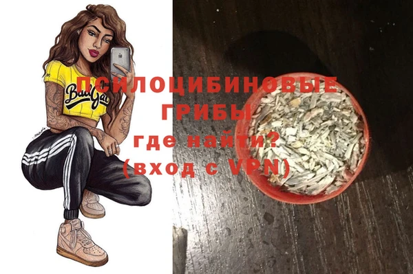 индика Аркадак
