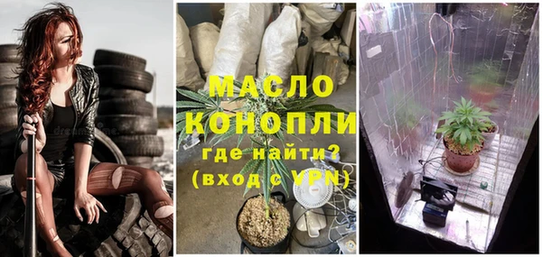 индика Аркадак