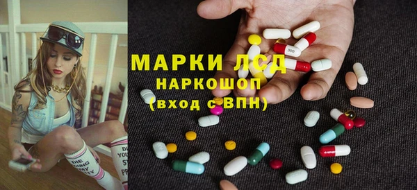 индика Аркадак