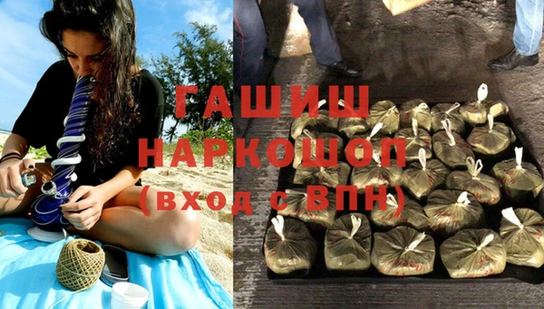 индика Аркадак
