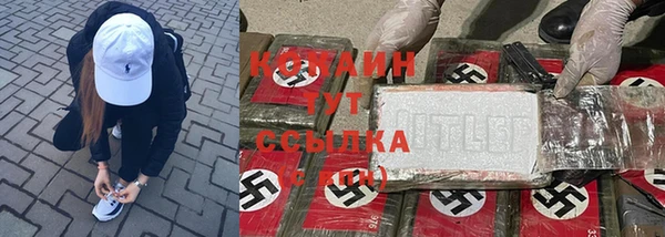 индика Аркадак