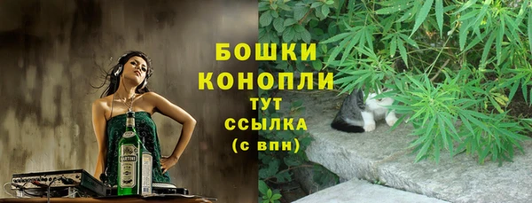 индика Аркадак