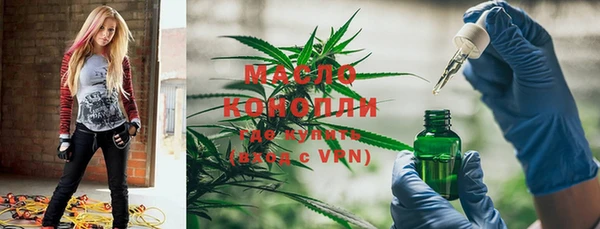 индика Аркадак