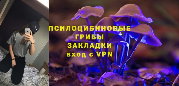 винт Арсеньев